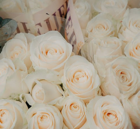 White Premium Roses – Frans Flowers