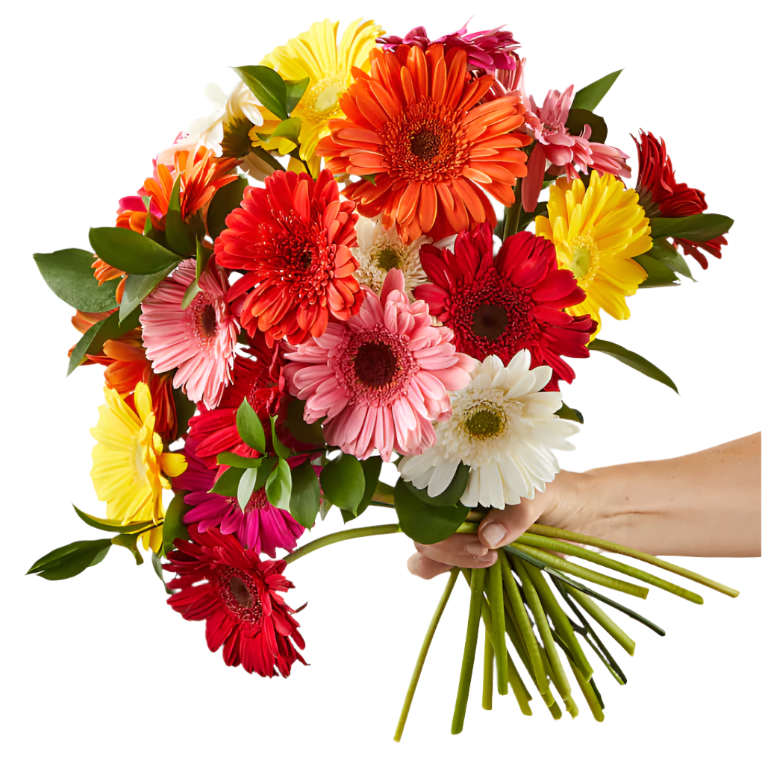 Gerbera Bouquet