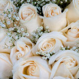 White Rose Classic Bouquet