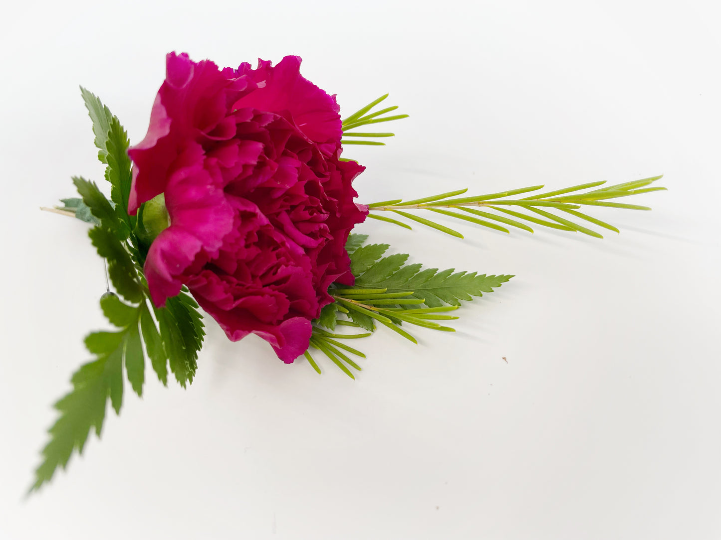 Pink Carnation Boutonniere