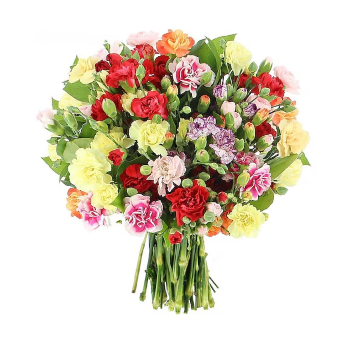 Colour-burst Carnation Bouquet