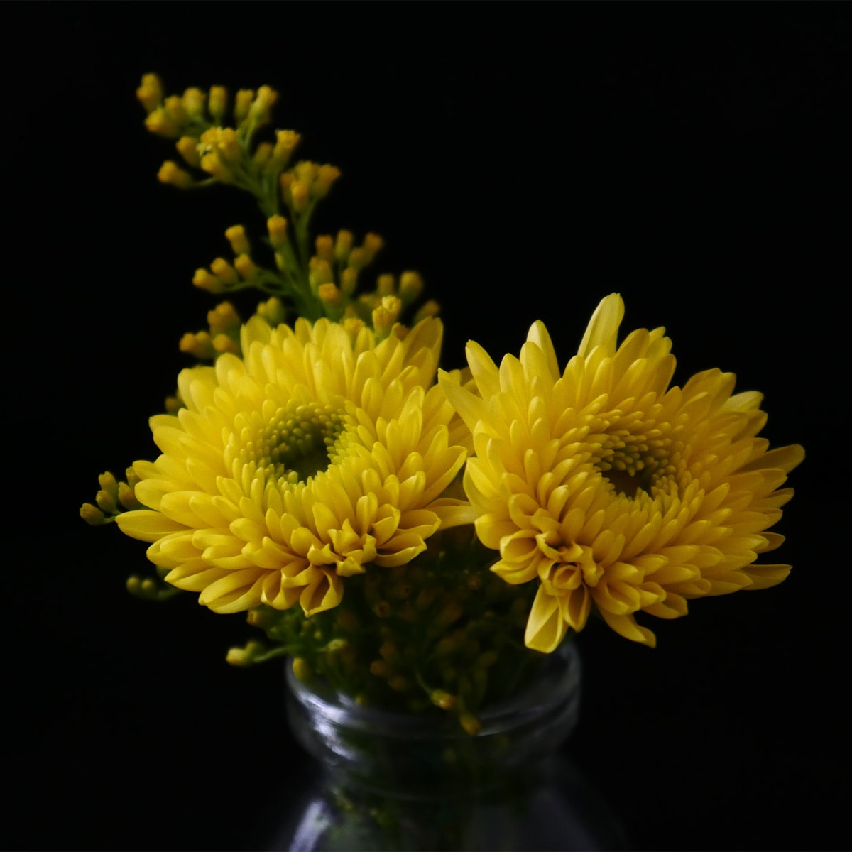 Yellow Cushion Spray Chrysanthemums