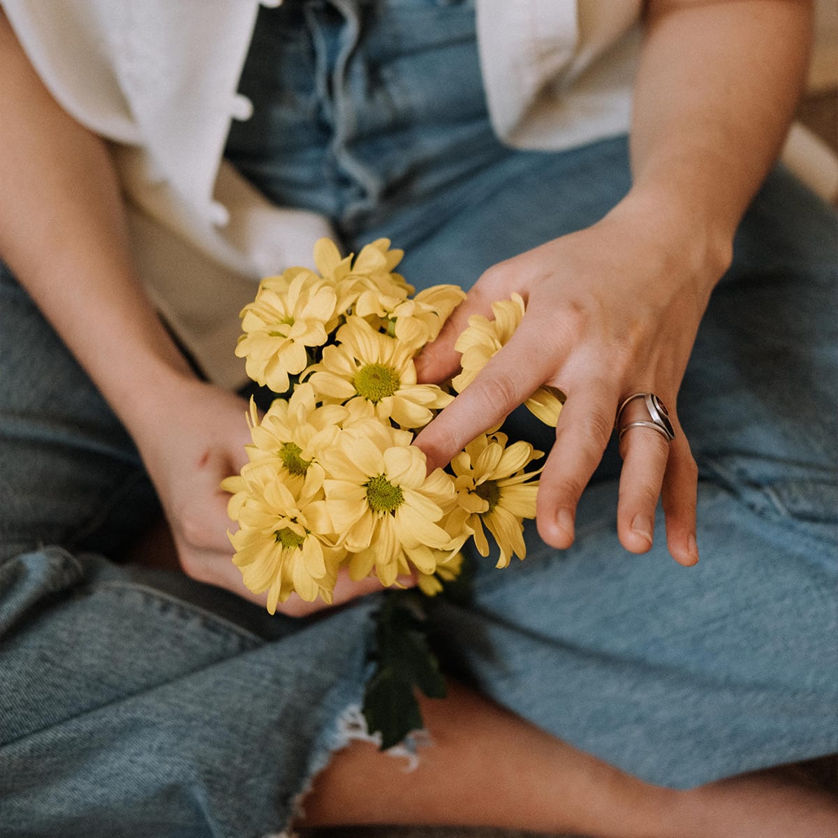 Yellow Daisy Mums